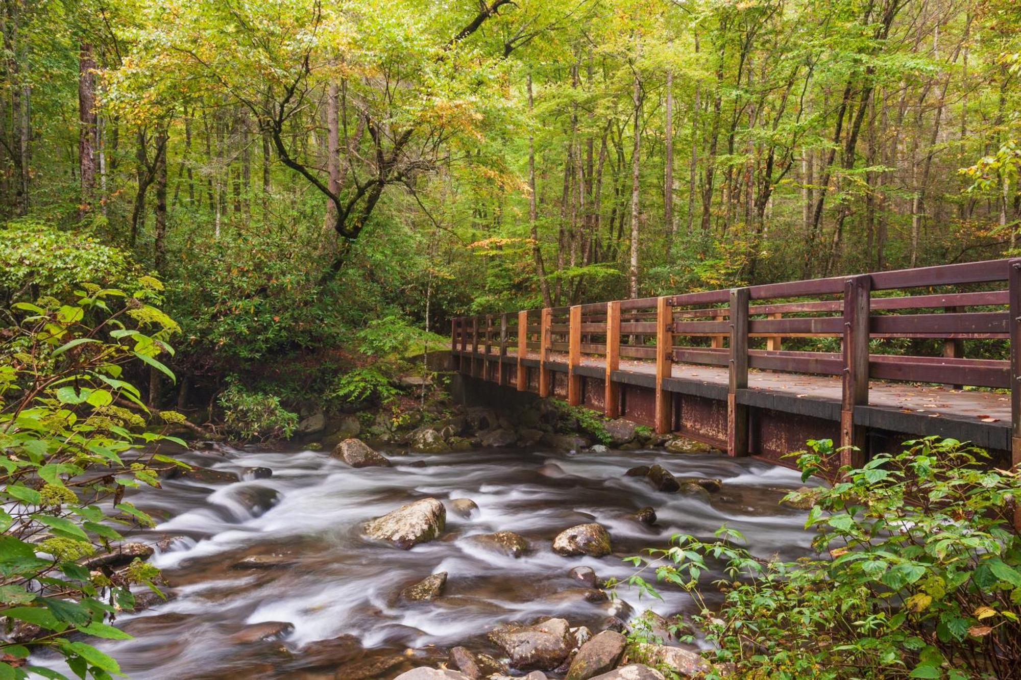 Suite Sensations, Hot Tub, Pool Table, 1089 Free Tickets Each Paid Day, Dollywood And More Pigeon Forge Eksteriør bilde